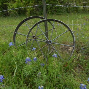 Puede incluir: Dos grandes ruedas de metal oxidadas con radios, que descansan en un campo de hierba verde y flores silvestres azules.