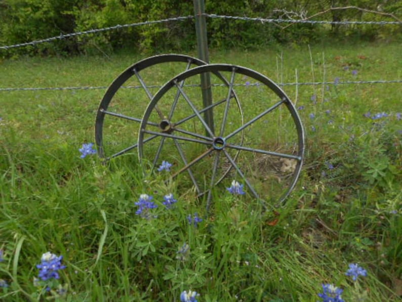 Puede incluir: Dos grandes ruedas de metal oxidadas con radios, que descansan en un campo de hierba verde y flores silvestres azules.