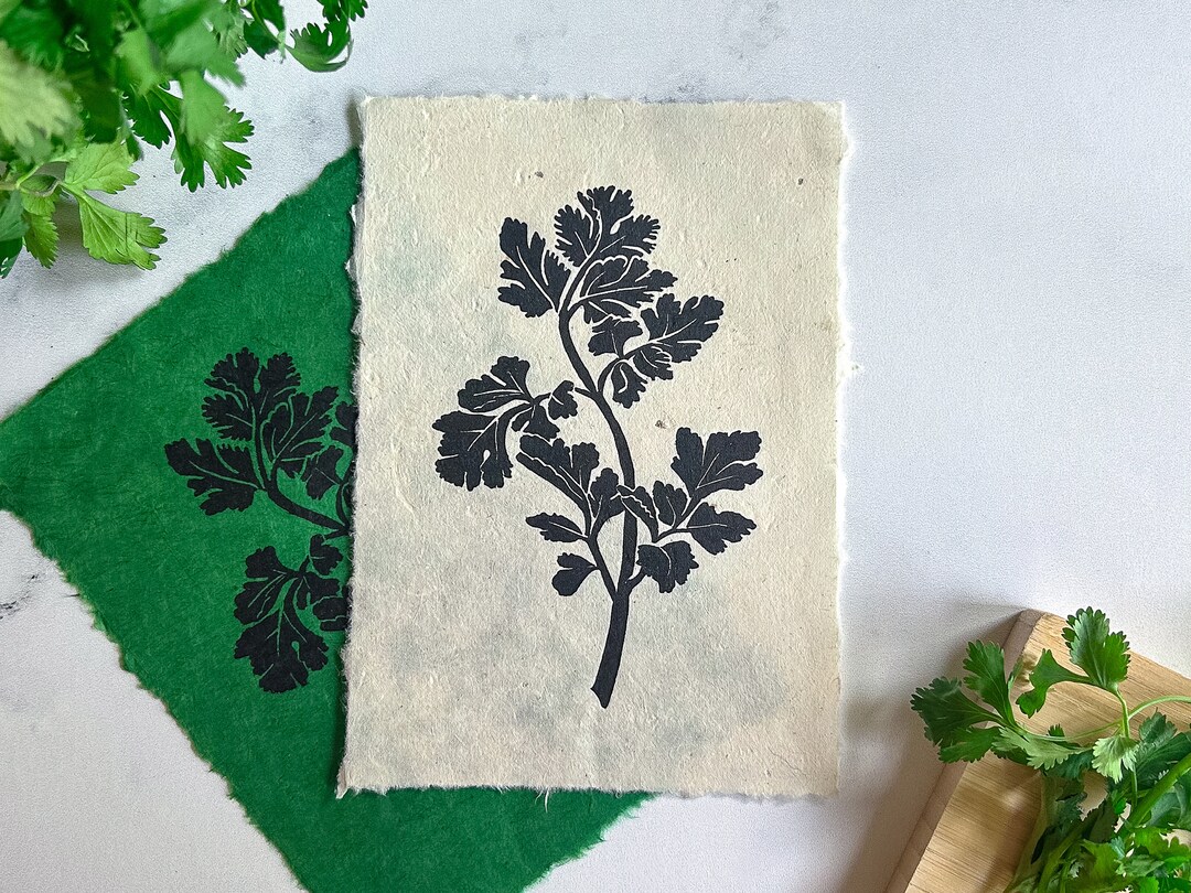 Cilantro | Original, Hand-carved, Linocut Print - Etsy