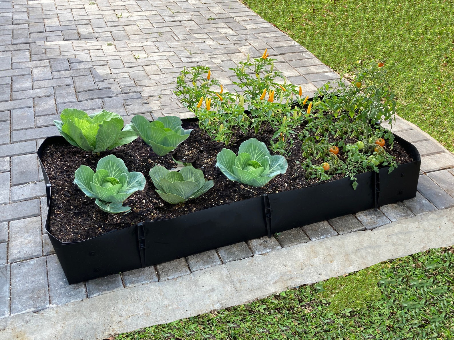 Raised polypropylene Garden bed great for growing herbs and Etsy