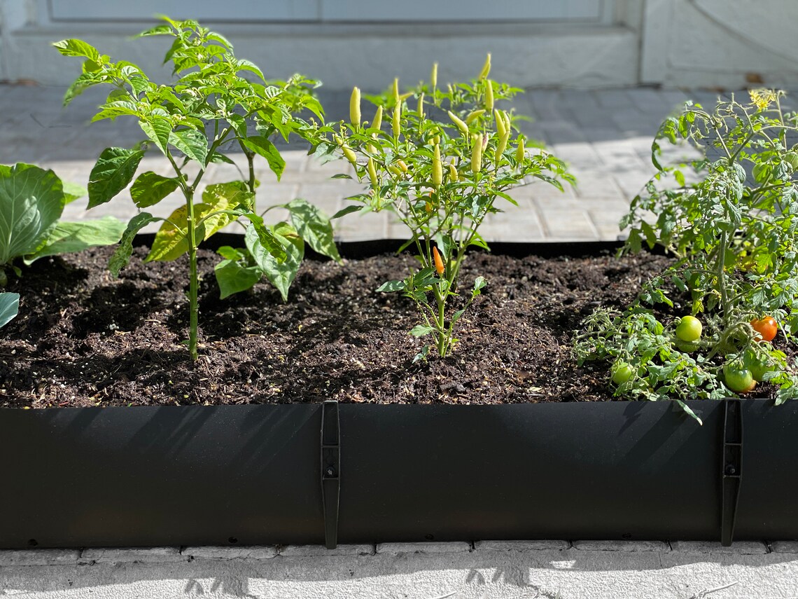 Raised Polypropylene Garden Bed Great for Growing Herbs and Etsy