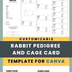 Customizable Rabbit Pedigree and Cage Card for Rabbitry Record Keeping Canva Template image 2