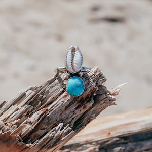 Cowrie Shell and Turquoise Ring // Size 8.25