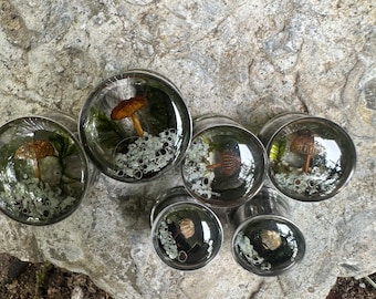 Écarteurs d'oreilles en véritables champignons, en acier inoxydable, inspirés des terrariums botaniques, de la forêt, de 10 à 25 mm.