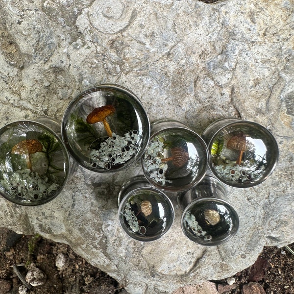 Real Mushroom Plugs, Stainless Steel Ear Gauges, Botanical Terrarium Plugs, Forest Gauges, 10-25mm