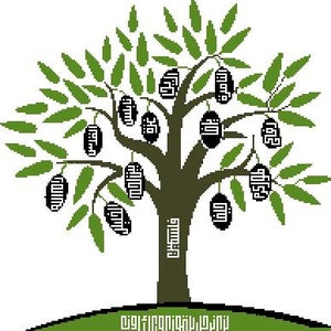 Palestinian Olive Tree