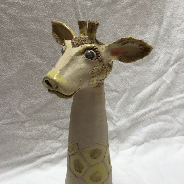 Zaunhocker Giraffe