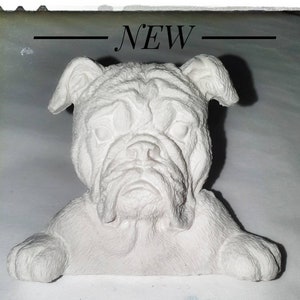 Könnte beinhalten: Eine weiße Bulldoggen-Skulptur mit strukturierter Oberfläche. Der Kopf und die Vorderpfoten des Hundes sind sichtbar, mit dem Wort "NEW" darüber. Die Skulptur hat ein detailliertes, realistisches Aussehen.