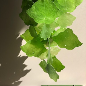 New[Green] Capiz Shell Wind chime, Hanging Decor, Handmade Mobile, Angel Suncatcher, Seashell wind chime, Patio Window Balcony Room decor