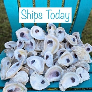 OYSTER SHELL COMBO image 1