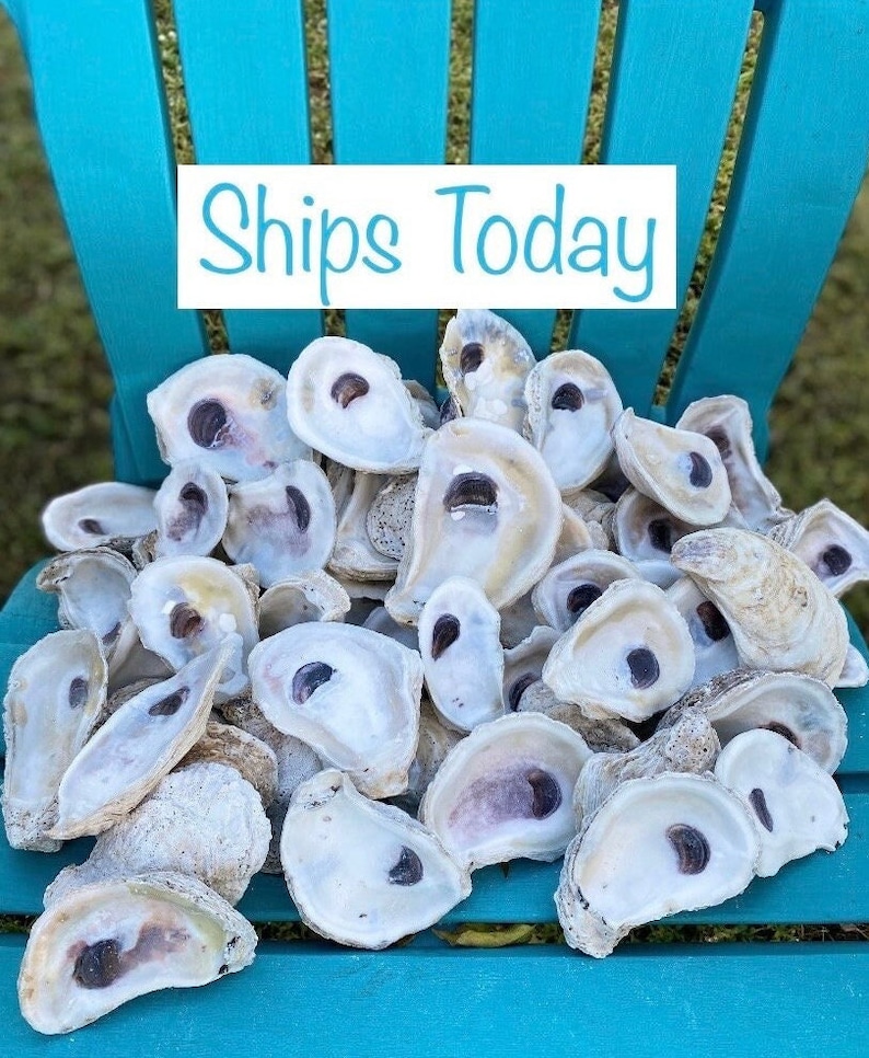 OYSTER SHELL COMBO image 1