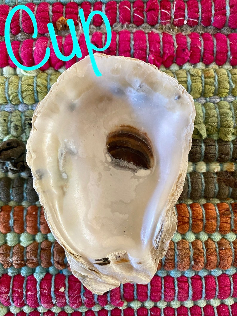 OYSTER SHELL COMBO image 2