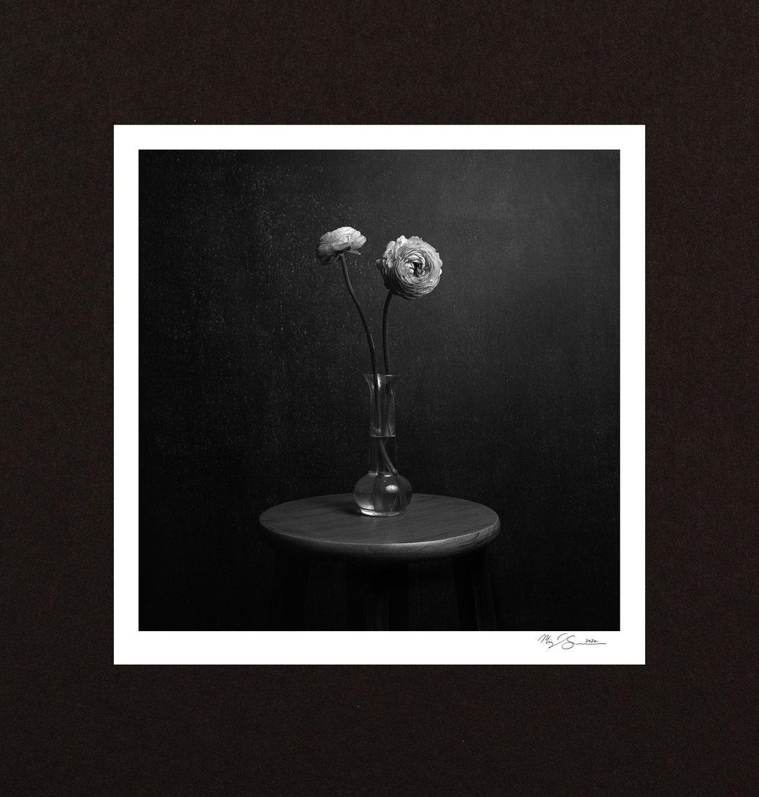 Floral Art, Flower Photo, Flower Photograph, Still Life Photo, Floral