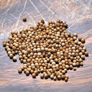 Coriander Seeds Leisure whole seed image 1