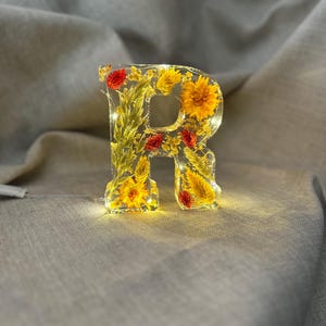 Letras de flores de resina iluminadas grandes con nombre personalizado, hechas a mano, por encargo, regalo de cumpleaños, día de la madre, hija, Navidad, bautizo, decoración del hogar A E