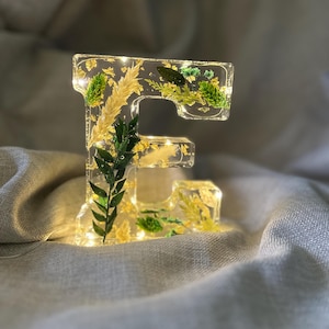 Gran luz de noche de resina con forma de flor y nombre E, hecha a mano, personalizada, para cumpleaños, día de la madre, hija, regalo de Navidad, bautizo, decoración del hogar