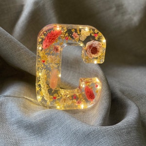 Letras de flores de resina iluminadas grandes hechas a mano a medida, regalo de cumpleaños, día de la madre, hija, Navidad, bautizo, decoración del hogar C