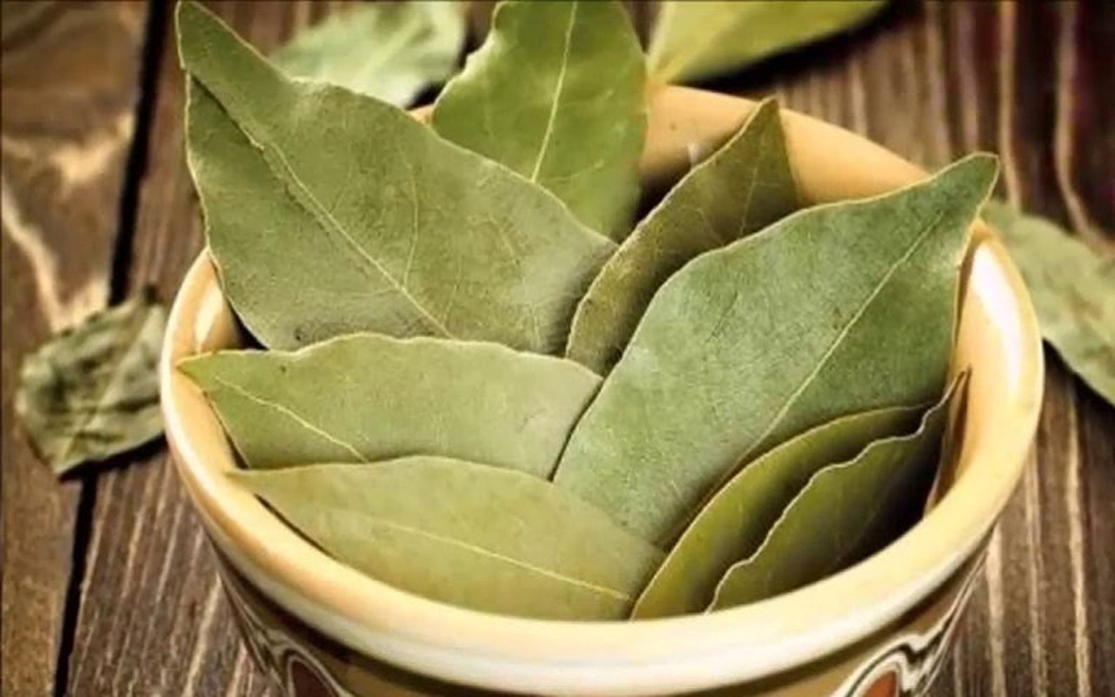 Indian Bay Leaf Spicy Leaf Curry Leaf Cooking Leaf Indian Etsy
