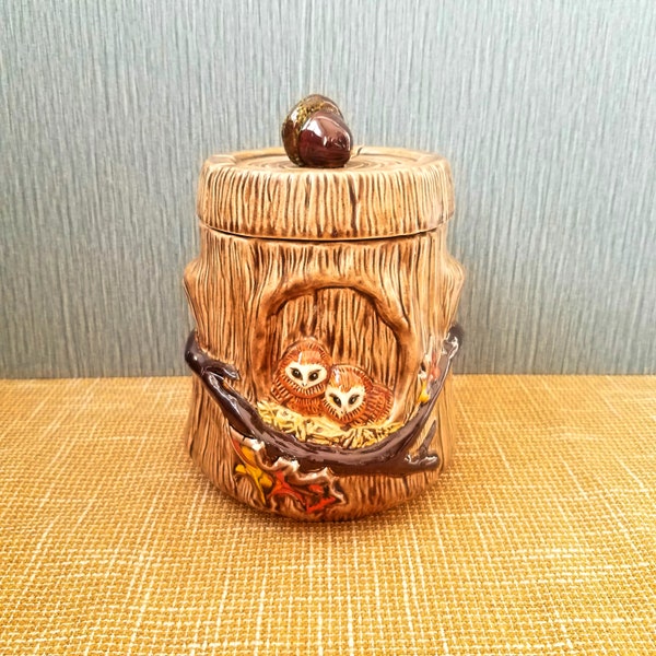 70's Small Ceramic Owl Canister, Baby Owls Cookie Jar, Hand Painted