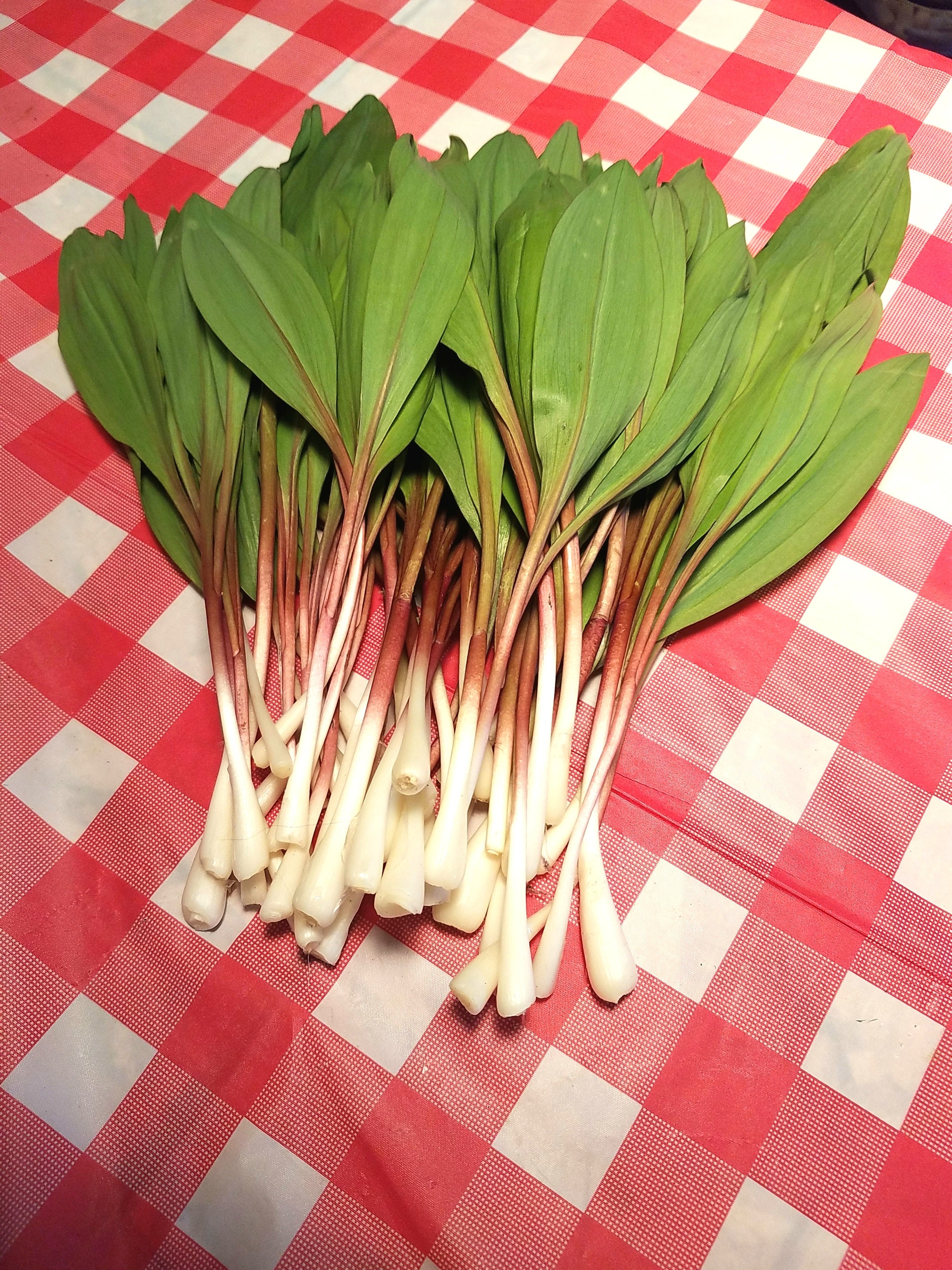 Dried Ramp Powder 1 Oz (1/4 cup) Bag, Wild Ramps (Leeks) Powder, 100%  Organic Wild Leek Seasoning - Etsy 日本