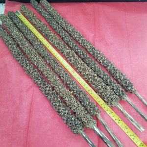 17 Inch Natural Mullein Stalks, Sold in Bundles of 3, Hags Candle, Witches Candle