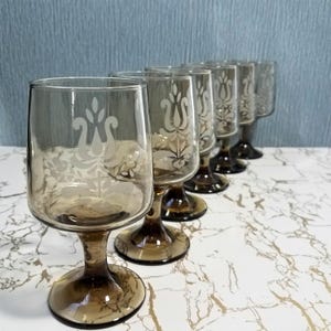 May include: A set of six vintage brown-tinted wine glasses. Each glass features a decorative etched floral design. The glasses are arranged in a row, showcasing their elegant stemware design. The glasses are on a marble-patterned surface.