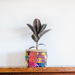 May include: A small rubber plant in a colourful fabric planter. The planter is made of patchwork fabric with a variety of colours and patterns, including red, yellow, green, purple, and pink.
