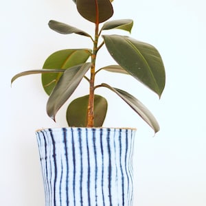 May include: A rubber plant in a blue and white striped fabric pot. The plant has large, dark green leaves and a reddish stem. The pot sits on a wooden surface and has a natural fibre trim.