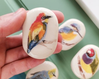 Ceramic bird knobs  Hand Sculpted Bird Knobs  Blue bird knob  Beige door knob  \u0421eramic knobs with hand painted tropical birds  set of 5