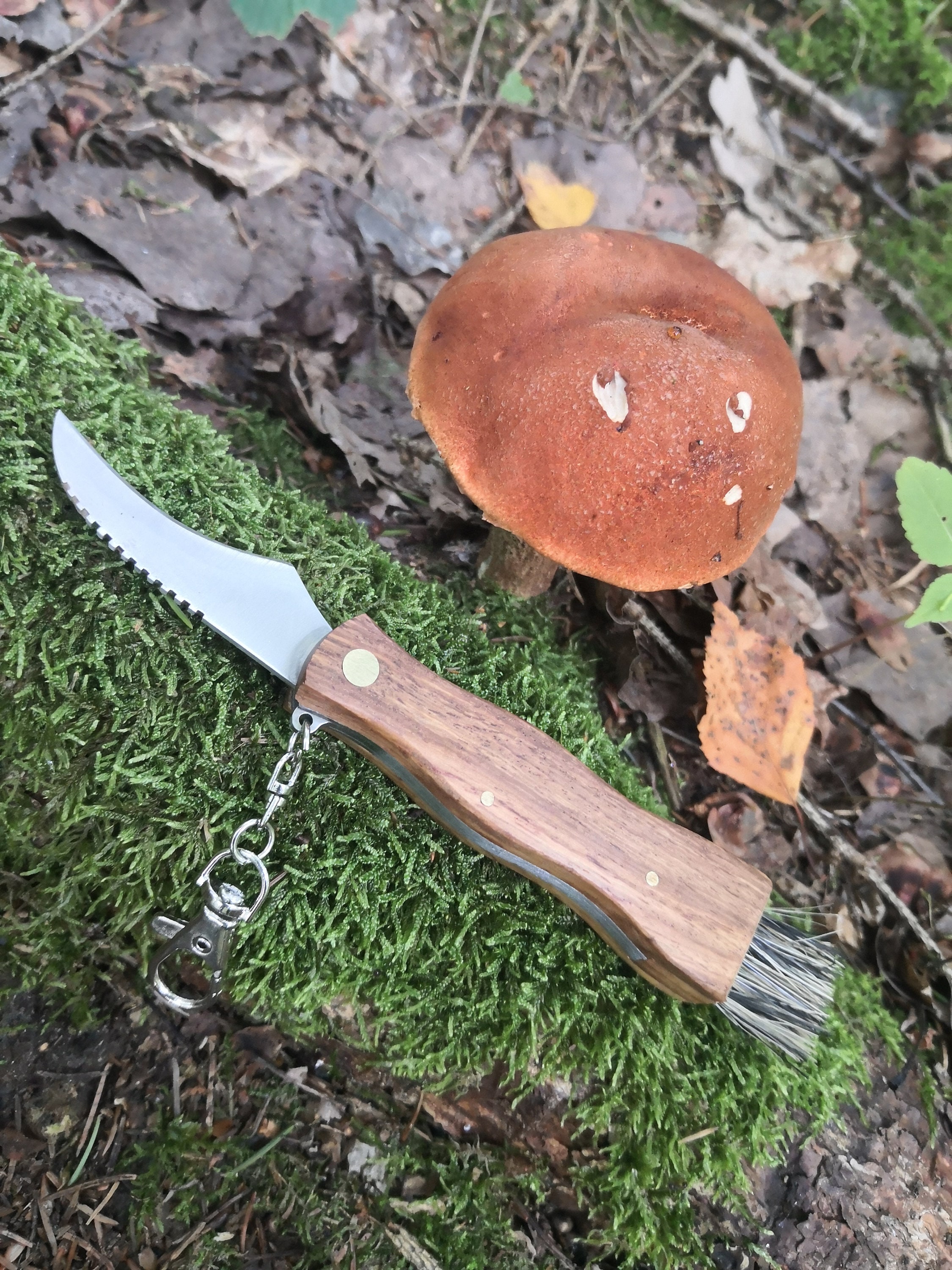 Mushrooms knife wooden mushroom knife with brush Etsy