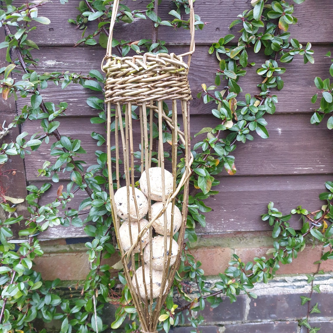 Willow craft kit make your own willow bird feeder fat ball Etsy