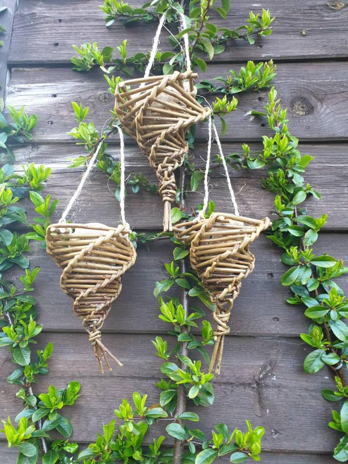 Willow craft kit make your own bird feeder willow weaving Etsy