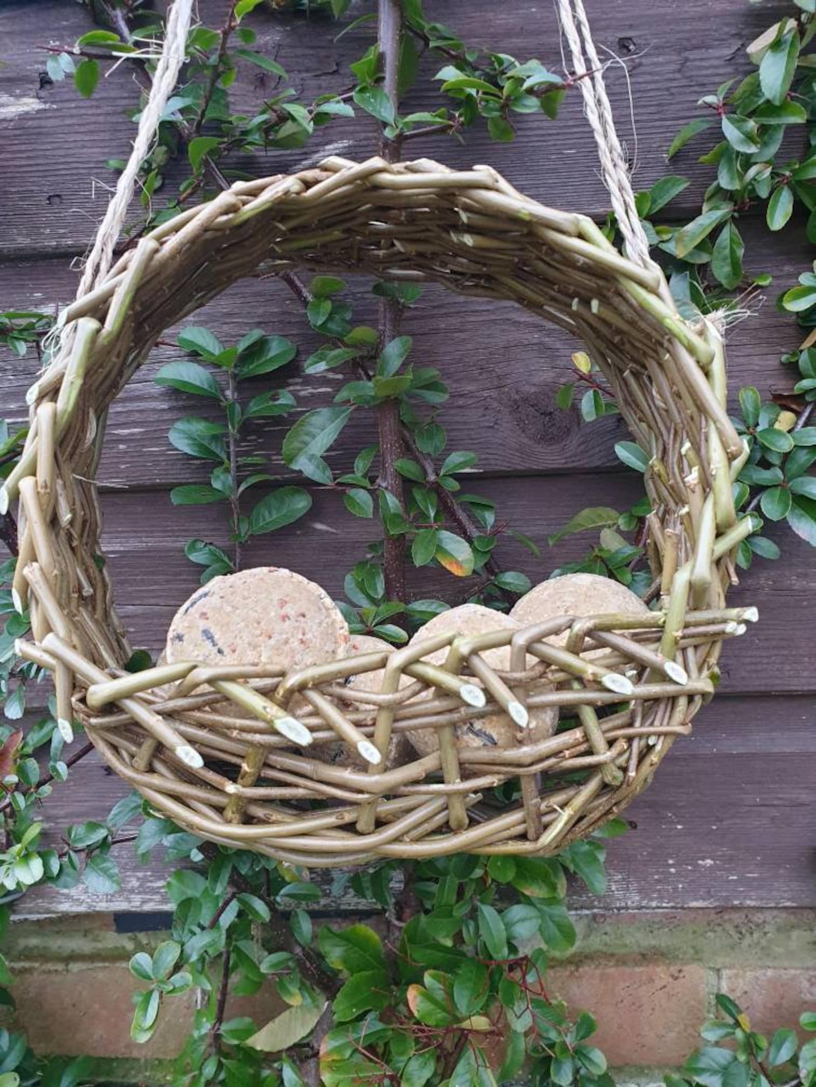 Willow bird feeder fat ball holder / window bird feed Etsy