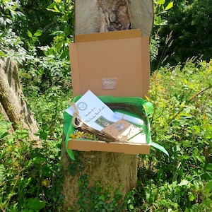 Peut inclure: Une bo&icirc;te en carton marron avec un couvercle vert est ouverte, r&eacute;v&eacute;lant un kit d'artisanat pour fabriquer un nichoir &agrave; oiseaux aux fleurs sauvages. Le kit comprend une couronne, de la ficelle, des instructions et une petite pancarte en bois qui dit "Good Bird Feeder".