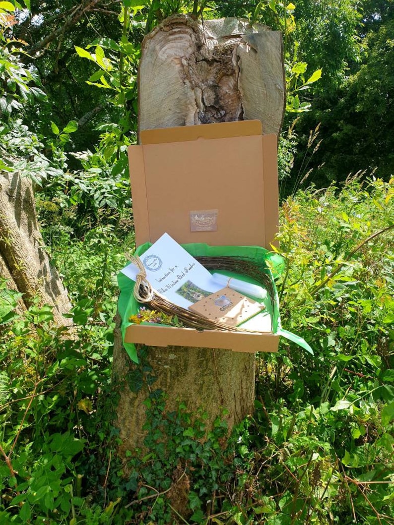 Peut inclure: Une bo&icirc;te en carton marron avec un couvercle vert est ouverte, r&eacute;v&eacute;lant un kit d'artisanat pour fabriquer un nichoir &agrave; oiseaux aux fleurs sauvages. Le kit comprend une couronne, de la ficelle, des instructions et une petite pancarte en bois qui dit "Good Bird Feeder".