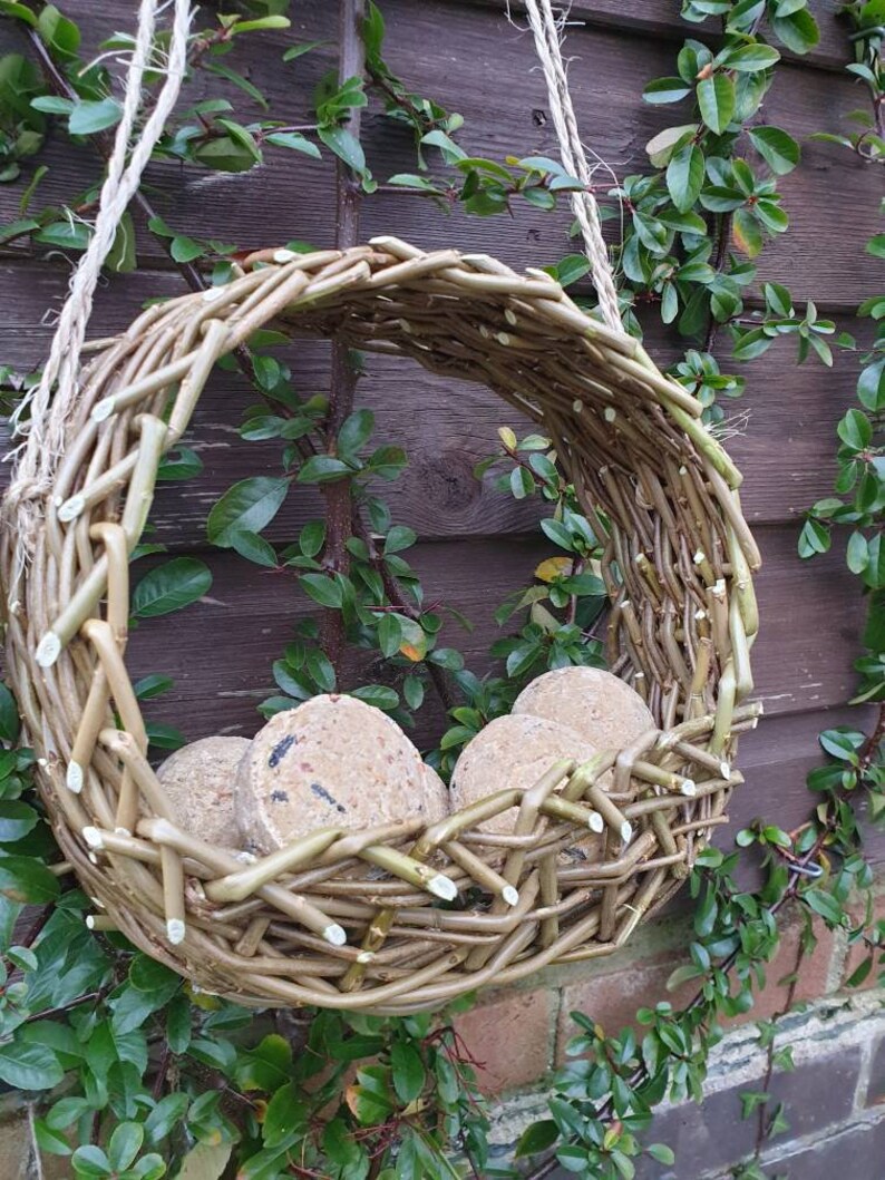 K&ouml;nnte beinhalten: Ein geflochtener Weidenvogel futterspender mit drei Talgkuchen drinnen. Der Futterspender h&auml;ngt an einem Seil und ist von gr&uuml;nem Laub umgeben.
