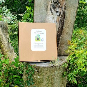 Peut inclure: Une bo&icirc;te en carton marron avec une &eacute;tiquette blanche qui dit "Make Your Own White Wooden Bird Feeder". La bo&icirc;te est pos&eacute;e sur une souche d'arbre dans une for&ecirc;t.