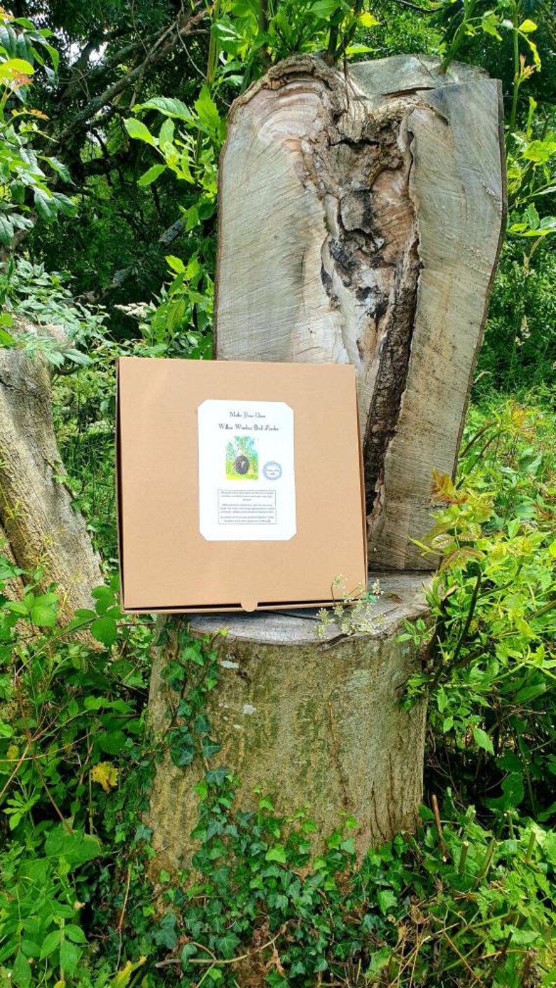 Peut inclure: Une bo&icirc;te en carton marron avec une &eacute;tiquette blanche qui dit "Make Your Own White Wooden Bird Feeder". La bo&icirc;te est pos&eacute;e sur une souche d'arbre dans une for&ecirc;t.