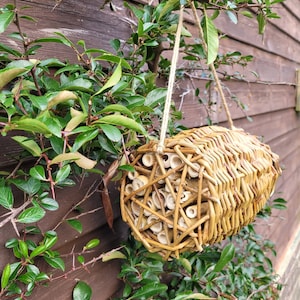 May include: A woven wicker bee house with a cylindrical shape, hanging from a branch. The bee house is made of natural materials and has a light brown colour.