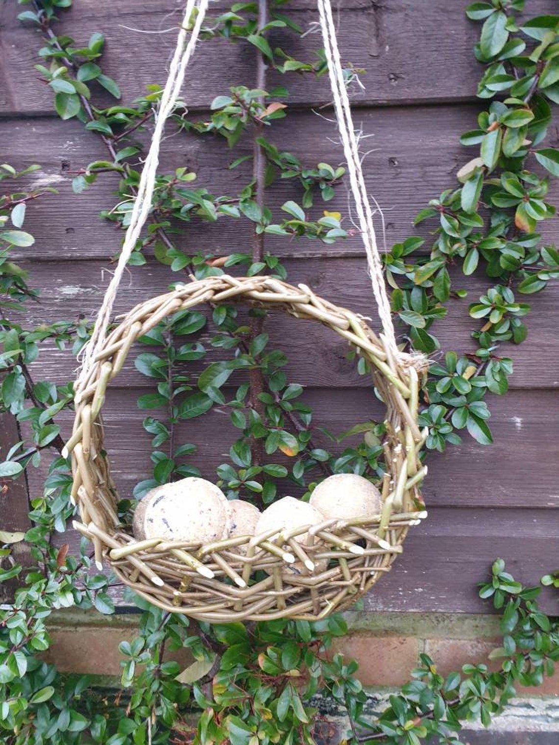 Willow bird feeder fat ball holder / window bird feed Etsy