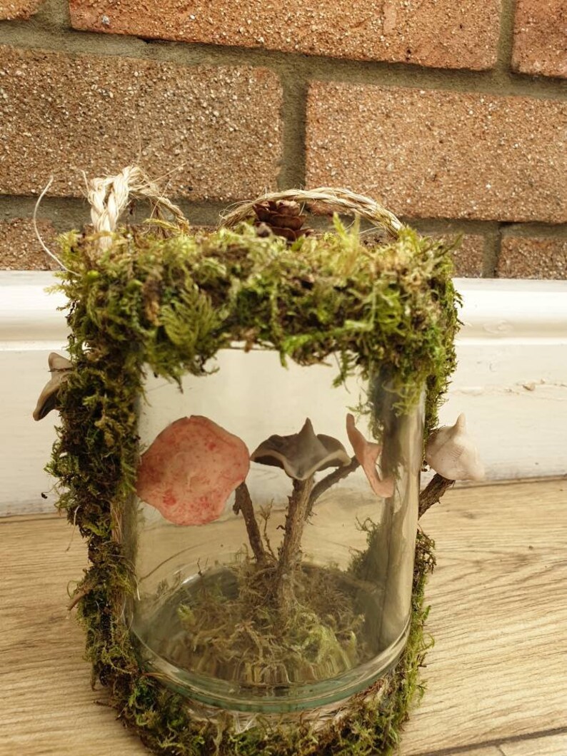 Mushroom glass jar mushroom decor woodland foraging gift Etsy