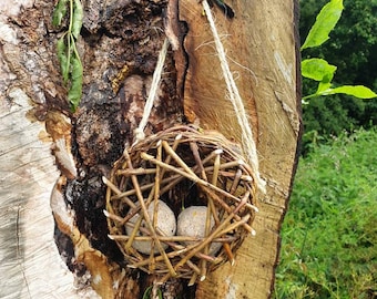 Puede incluir: Un nido de pájaro tejido con ramitas cuelga de un tronco de árbol. Dos pasteles redondos de semillas de pájaro grises están dentro del nido.