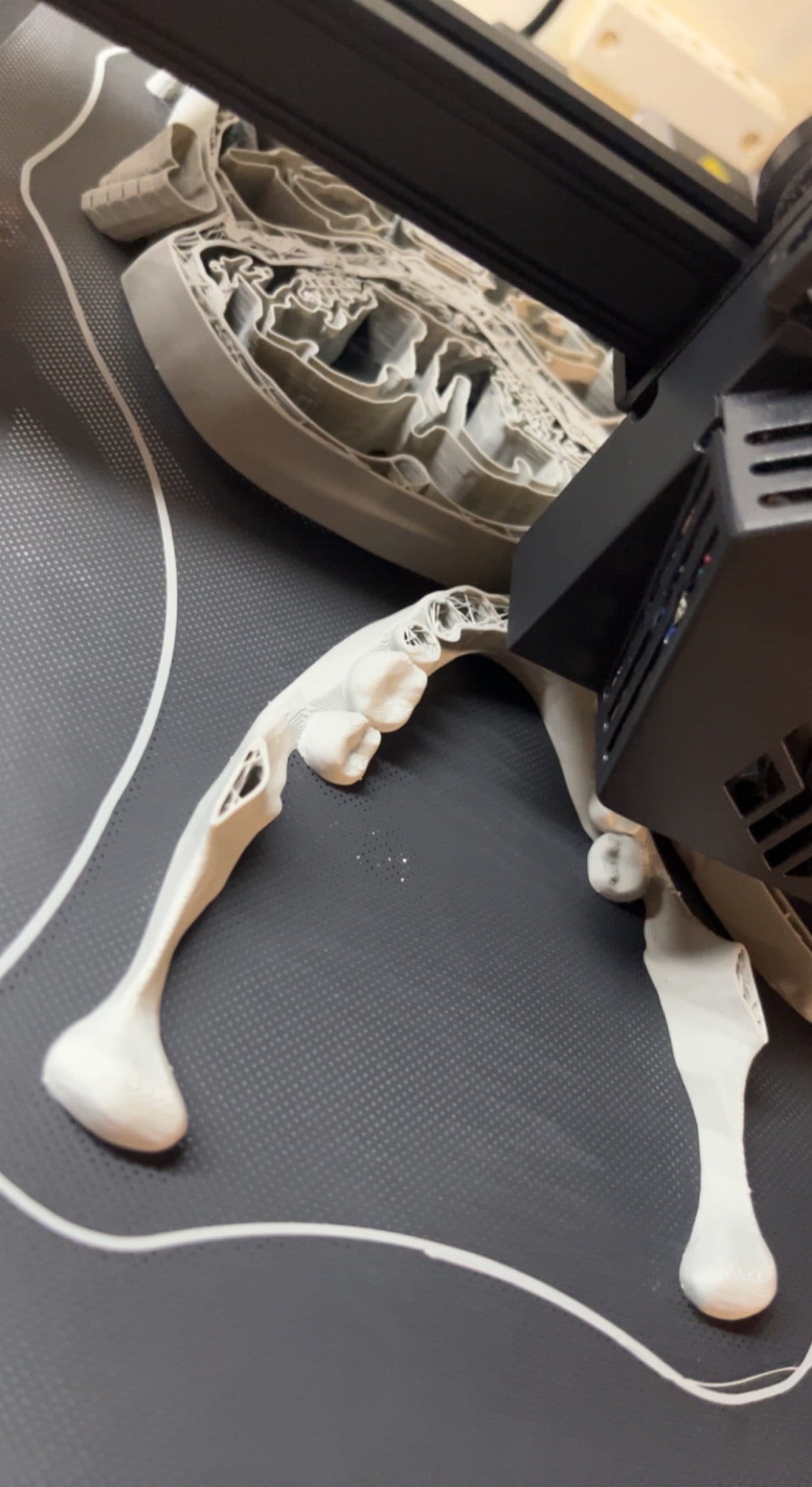 Human Skull Replica Anatomically Correct Skull Decor A Etsy