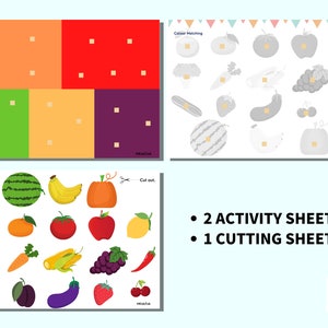 Fruit and Vegetable Colour Matching, Fruit and Vegetable Color Matching Activity, Fruit and Vegetable Color Sorting Printable image 8