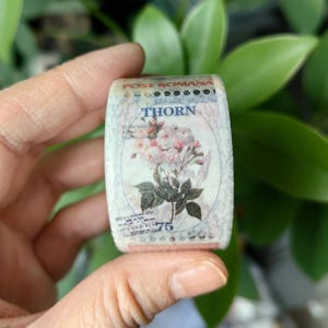 The Floral Prelude Stamp Washi Sticker - 2.5cm x 5m/Loop Length: 35 cm