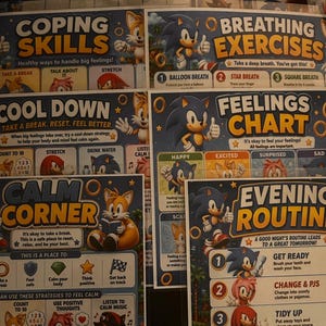 May include: A collection of educational charts featuring Sonic the Hedgehog characters, including titles like Behaviour Chart, Morning Routine, Coping Skills, Breathing Exercises, Cool Down, Feelings Chart, Calm Corner, and Evening Routine with text.