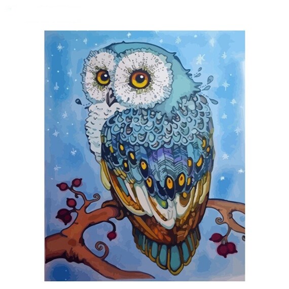 Owl Paint by Number kit Home Decoration Color by Number kit Etsy