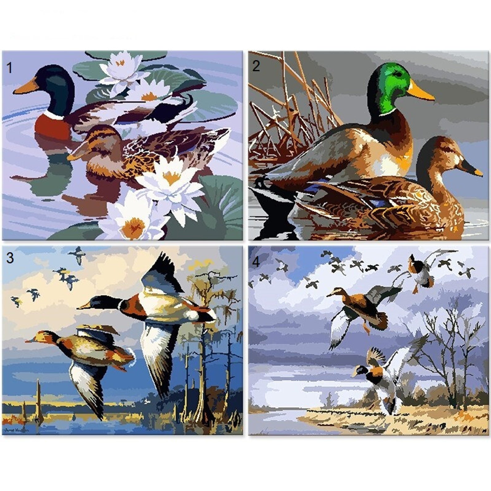 Mallard Duck Animal Paint by Number Kit DIY Painting Kit Etsy