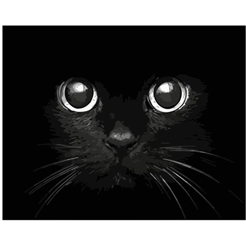 Black Cat Paint by Number Kit Home Decoration Color by Etsy