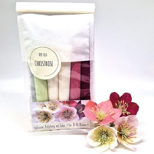 May include: A DIY kit for making Christrose flowers, packaged in a clear bag with five rolls of crepe paper in shades of green, cream, pink, and dark red. A label reads DIY KIT CHRISTROSE and includes instructions for 8-16 flowers.